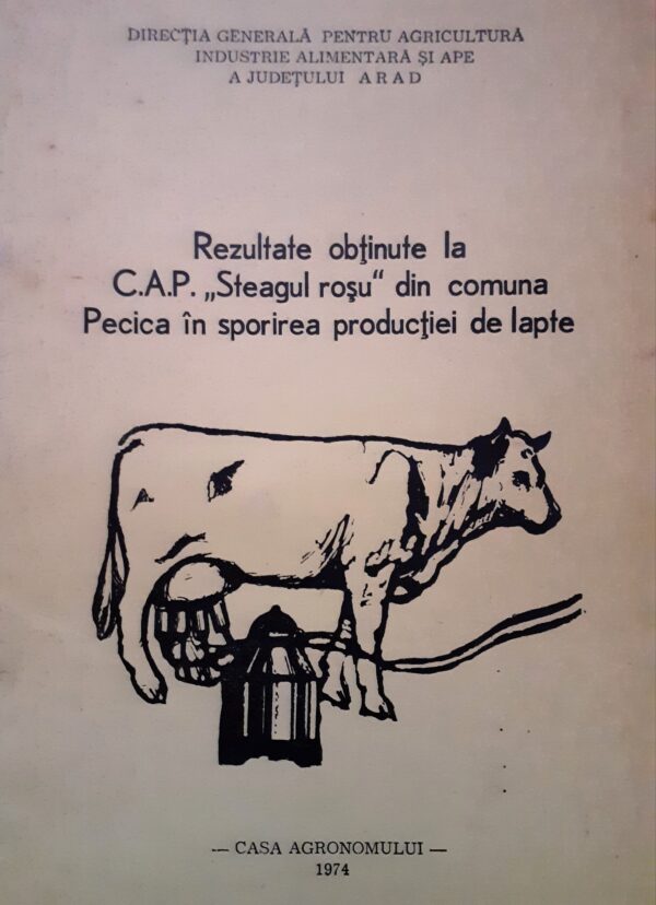 Rezultate obtinute la C.A.P. Steagul rosu din comuna Pecica In sporirea productiei de lapte