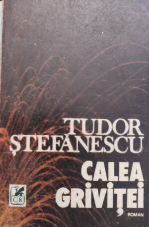 Tudor Stefanescu Calea Grivitei