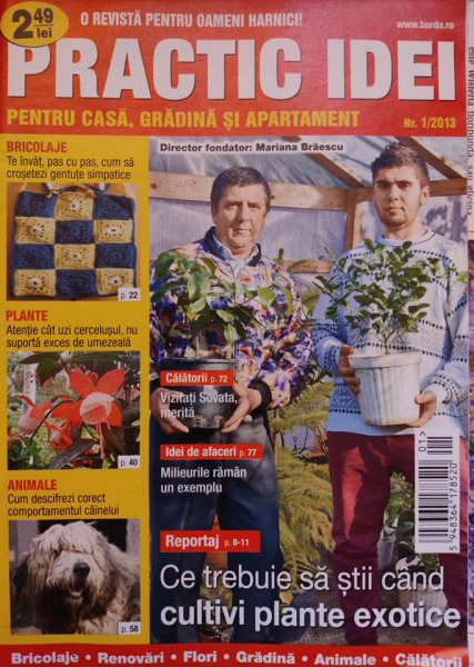 Revista Practic idei pentru casa, gradina si apartament, nr. 1/2013