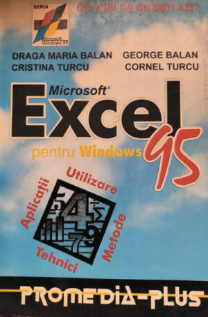 Excel pentru Windows '95