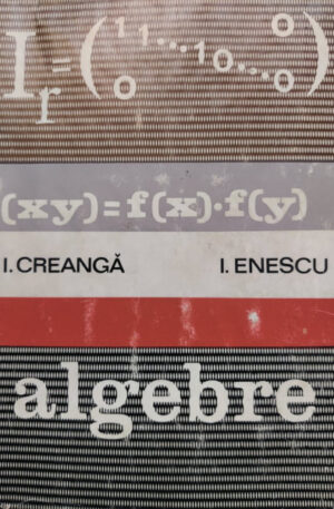I. Creanga, I. Enescu Algebre
