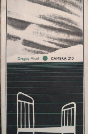 Dragos Vicol Camera 210