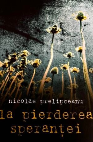 Nicolae Prelipceanu La pierderea sperantei